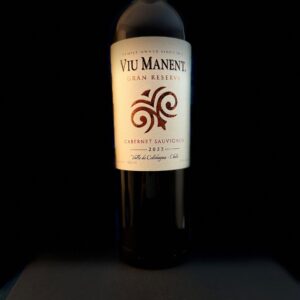 Viu Manent Cabernet Sauvignon Gran Reserva