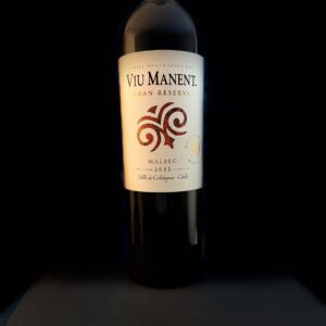 Viu Manent Malbec Gran Reserva